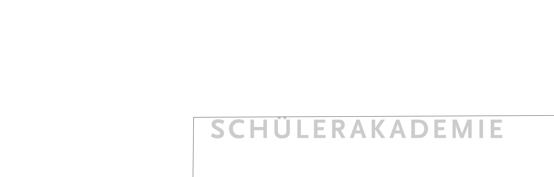 Logo der Universität zu Lübeck