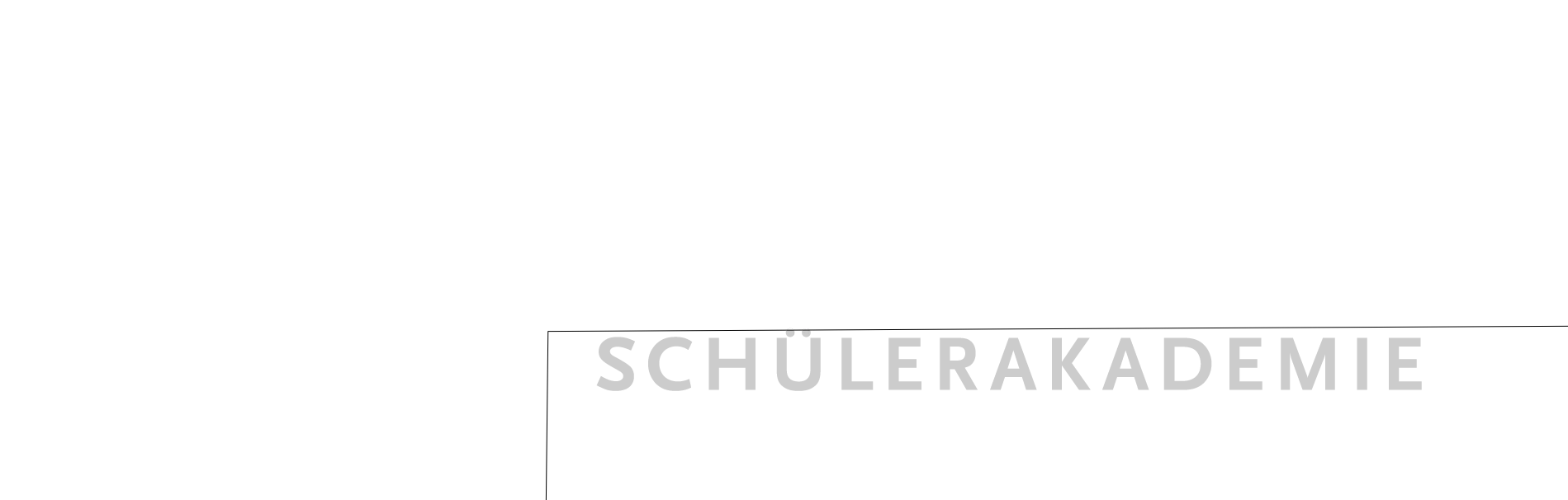 Logo der Universität zu Lübeck